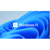 Windows 11非対応のPCでもアップグレードインストールできる方法